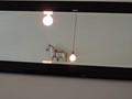 Maris_43